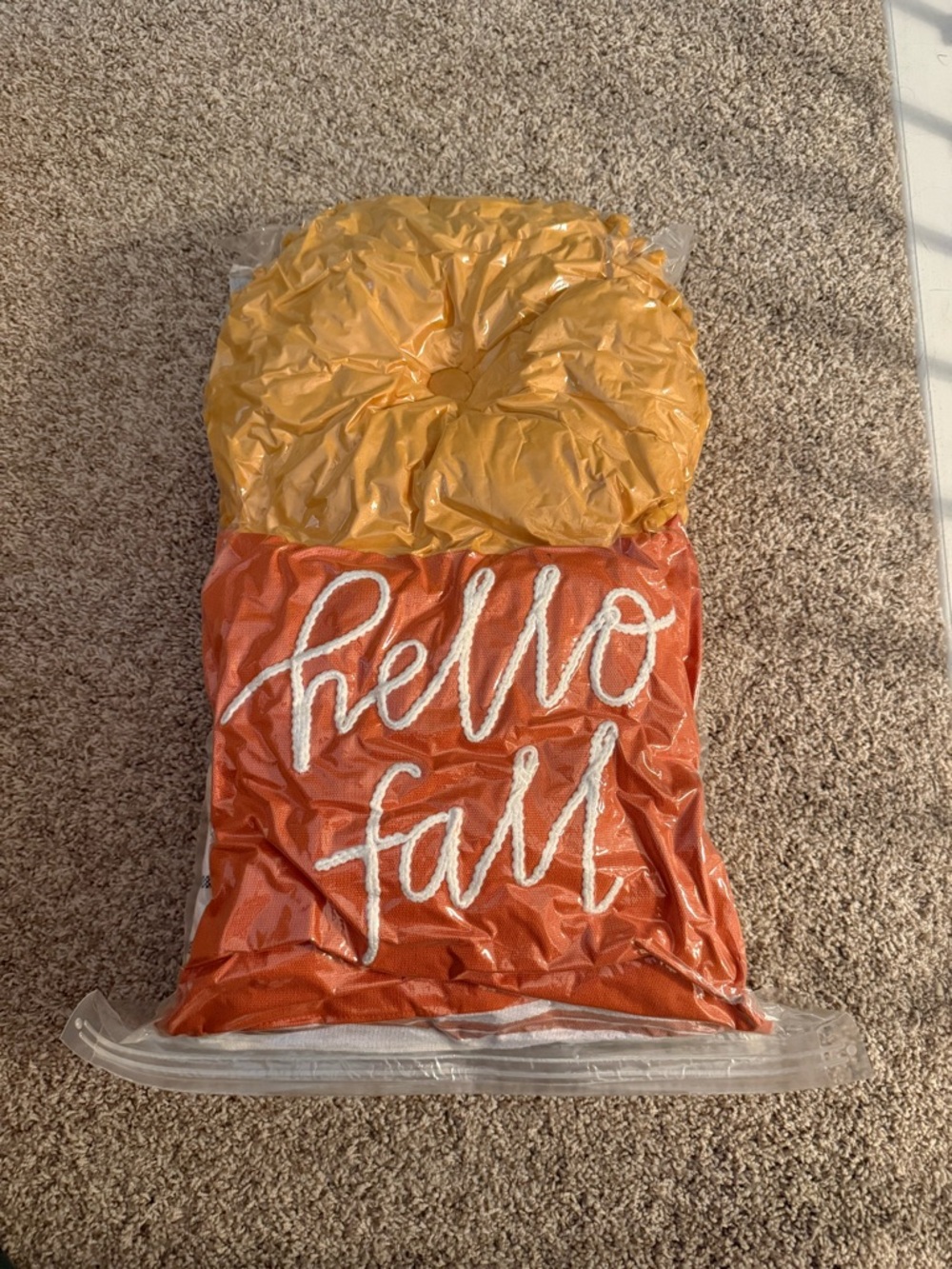 Fall Decorative Pillows - Set of 4